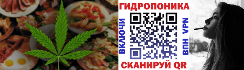 Cannafood конопля  мориарти какой сайт  Фокино 
