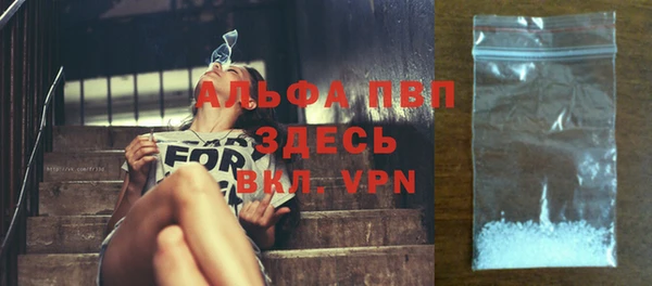 тгк Абаза