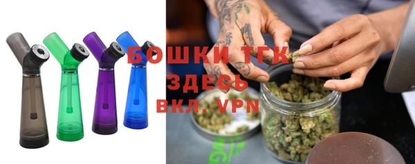 тгк Абаза