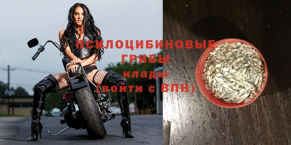 гидропоника Абинск