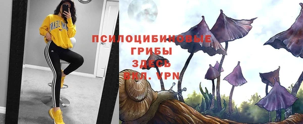 спайс Приозерск